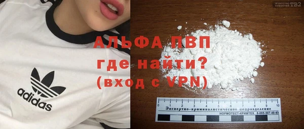 бошки Богданович