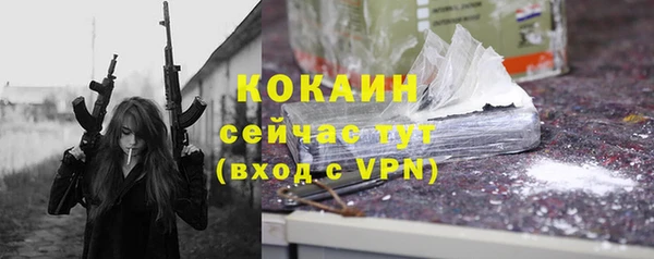 хмурый Богородицк