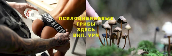 хмурый Богородицк