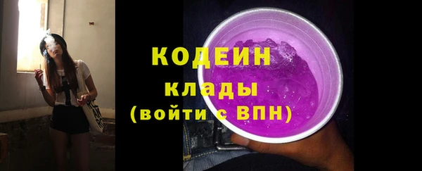 хмурый Богородицк
