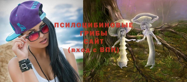 бошки Богданович