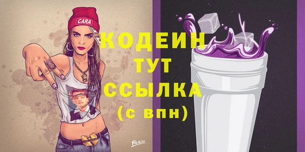хмурый Богородицк