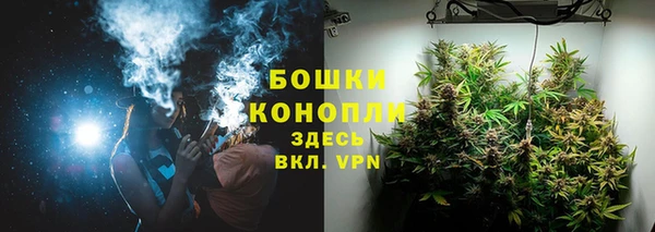 хмурый Богородицк